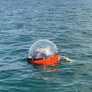 海研电子 波浪精灵（标准型）