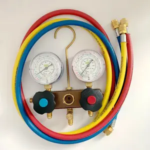 REFCO��ʿ������ýѹ������BM2-6-DS-R22 ��9884898��
