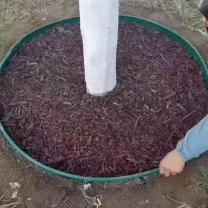 ��ʯ�����԰���̻�����԰�̻�����L�Ͳ�ʯ�������ɫ�쾰������