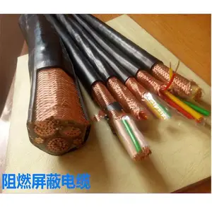 ZR-BPYJVPP2 0.6/1KV 3*50+3*6双屏蔽变频电缆 输送电力设施