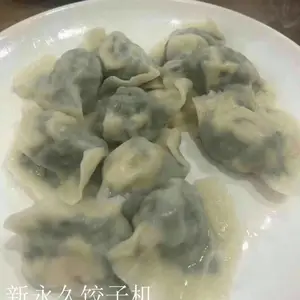 临沂全自动仿手工水饺机 不锈钢饺子机 饺子机厂家