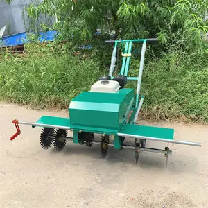 ��Ƥ���ݻ� �����ƺ������ ��ֲ��Ƥ���������ͻ�������