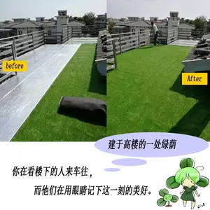 �������ذ��������ϵ�̺�������˶��������̻��ٲ�ƺ����ص��