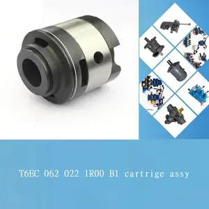 DEN***N����ѷҶƬ�� T6EC 062 022 1R00 B1 pump