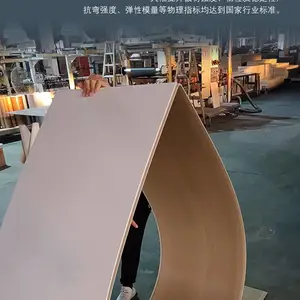 深圳护墙板多少钱一平方 科吉星木饰面电视背景墙 网红格栅碳晶板护墙板