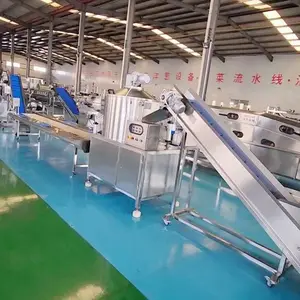 全自动白菜气泡清洗机 蔬菜切片涡流清洗机 荞麦涡流气泡清洗设备