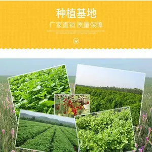 斯诺特生物 甘草粉 甘草浸膏粉 包邮 甘草提取物
