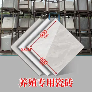 竹鼠养殖杂色瓷砖600x600 规格甲鱼牛蛙鸡鸭兔养殖专属农用瓷砖