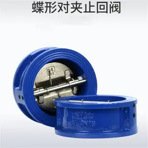 �ϸ߷��� ���ζԼ�ʽֹ�ط� ̼�����ܷ�ֹ�� �� H76H DN100