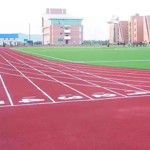 广东黑底彩色EPDM弹性塑胶跑道材料厂家直销 塑胶跑道颗粒弹性面层施工工程