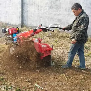 ���Ͷ๦����԰������ �����ݮ��ֲ��¢�� ɽ����ֲ����������