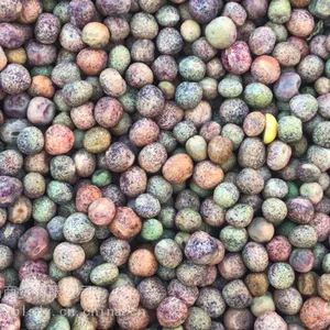批量供应豌豆 原料豌豆干豌豆 农家无污染大粒麻豌豆