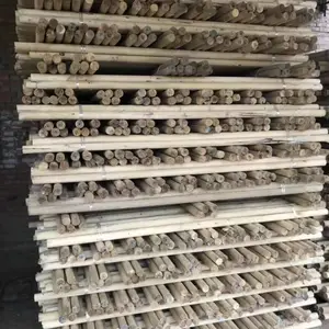 腾福竹木供应京津冀地区2米 2.6米苗木支撑杨木杆