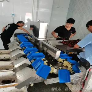 ������ѡ�� ת��ʽ������ѡ�� �������Զ��ּ������