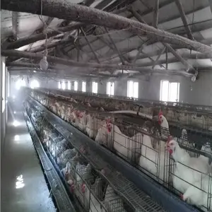 河南新密市养鸡场圈舍消毒机设备安装案例推荐