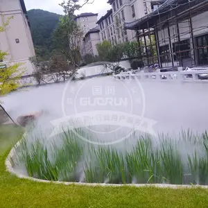 ʲô��������Ӧ����ɭϵͳ��