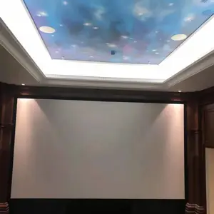 ��ӰԺ3DĻ�� ����ӫĻ ��ӳ��Ӱ��Ļ ��Ļ��������