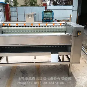 小型全自动果蔬毛刷脱皮机 土豆红薯洋芋毛辊脱皮清洗机