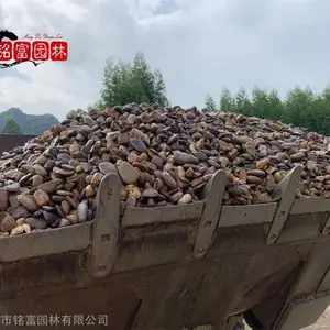 惠州公园小路铺路石材 自然杂色鹅卵石 广东小区地面石