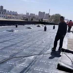 �����������ˮά�� ����ձ ��ˮ��©һ��ά�� ʮ��ά��