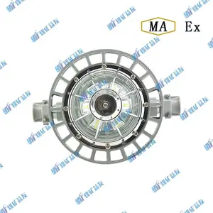 DGS24/127L(A)矿用隔爆型LED巷道灯