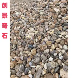 广东东莞水缸底鹅卵石装饰 东莞溪边鹅卵石堆砌 东莞鹅卵石库存充足