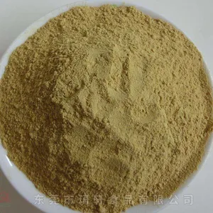 供应草蔻粉绿色有机 蔬菜粉制作厂家