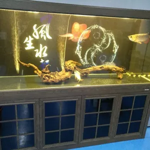 ʯ��ׯ�����������ϴ