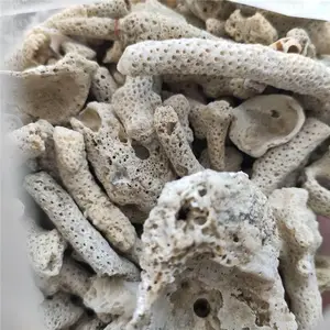 �ӱ�����������׹�����ɺ���� ɱ������ ����ˮ����ɺ����