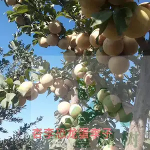 ���ţ����������Ʒ�� �����������繩����