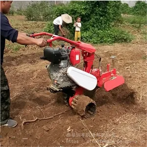 ��԰С�Ϳ����� ��԰������԰������ ���