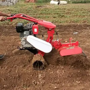 ��԰����ר�ÿ��������������ͺſ�����¢����ʥ��԰������