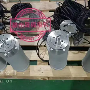 ˮ��100��24V1000W��ˮ��ˢ���-Ǳˮ100��24V1000W��ˮ��ˢ���