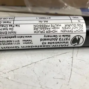 ���¹�ԭװ HAHN Gasfedern ���嵯�� Z10-28ST-06561