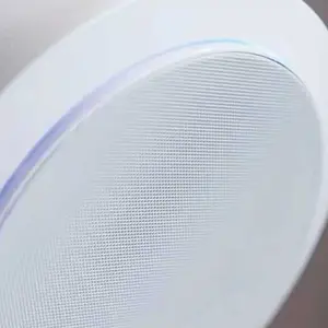 广东吸顶音响代理 嘉兴市彩音电声科技供应