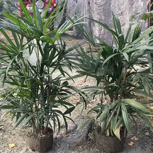��������ˮ������-��ɡ��ˮ����-�糵��-ˮ��-�ļ����������ˮ��