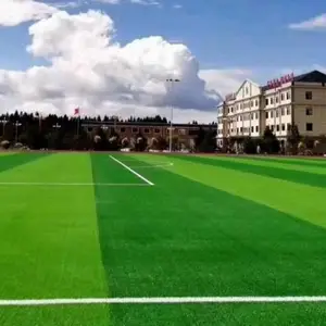 ���򳡲�ƺ ���������˶����زٳ�