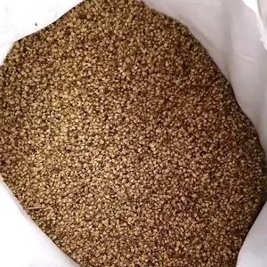 ����é������С�������ӱ��������Ѳ����ʹ�ɳ��