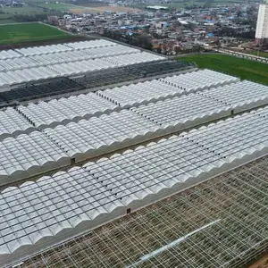 巨型温室设计-湖南巨型温室-北京中农金旺