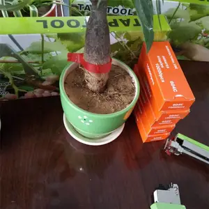 ***���Ѱ�֦�� ʡ�ϲ����������� �����⨺��Ұ�����
