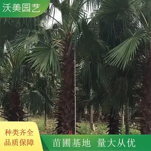 ����԰�ճ��� ����� �̻��쾰��ֲ ����԰����ֲ������