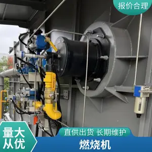 岱鼎燃烧 烤漆烘干房RTO炉裂解气生物质气天然气燃烧机源头厂家