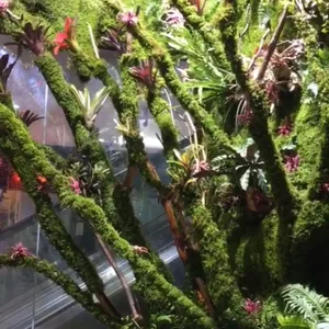 ���ⲣ��ɰ �쾰��ɫ������ ����ʯ��Ĳ������� ΢����װ�β�����