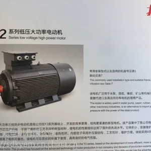 YE2-355L2-4-355KW