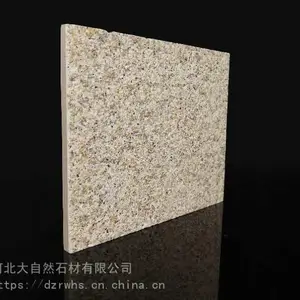 外墙保温装饰石材外墙仿石材装饰板人造石材酒店医院公建外墙用真岩石