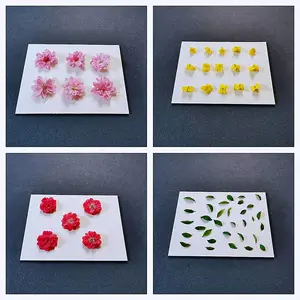 Ѻ����ѹ������װDIY�����ɻ�����ˮ��Ƭ����ѹ����ɻ��������߲�����ˮֽ�̾�