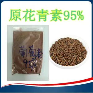 葡萄籽原花青素 食品饮料原料 斯诺特支持拿样 食品固体饮料原料
