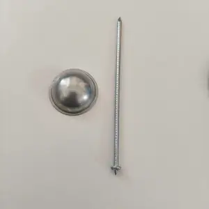 ����ִ��ñ��¶� ��ͭ���ñ��¶� ��ñ ��Ƭ ֧�ֶ���