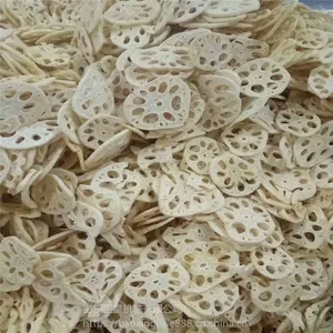炸脆藕片设备 香酥藕片真空油炸机 宝尔特专业制造