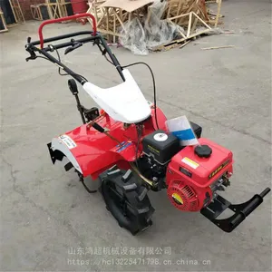 ��԰�������ݻ� ���������ػ� �ַ�ʽ������